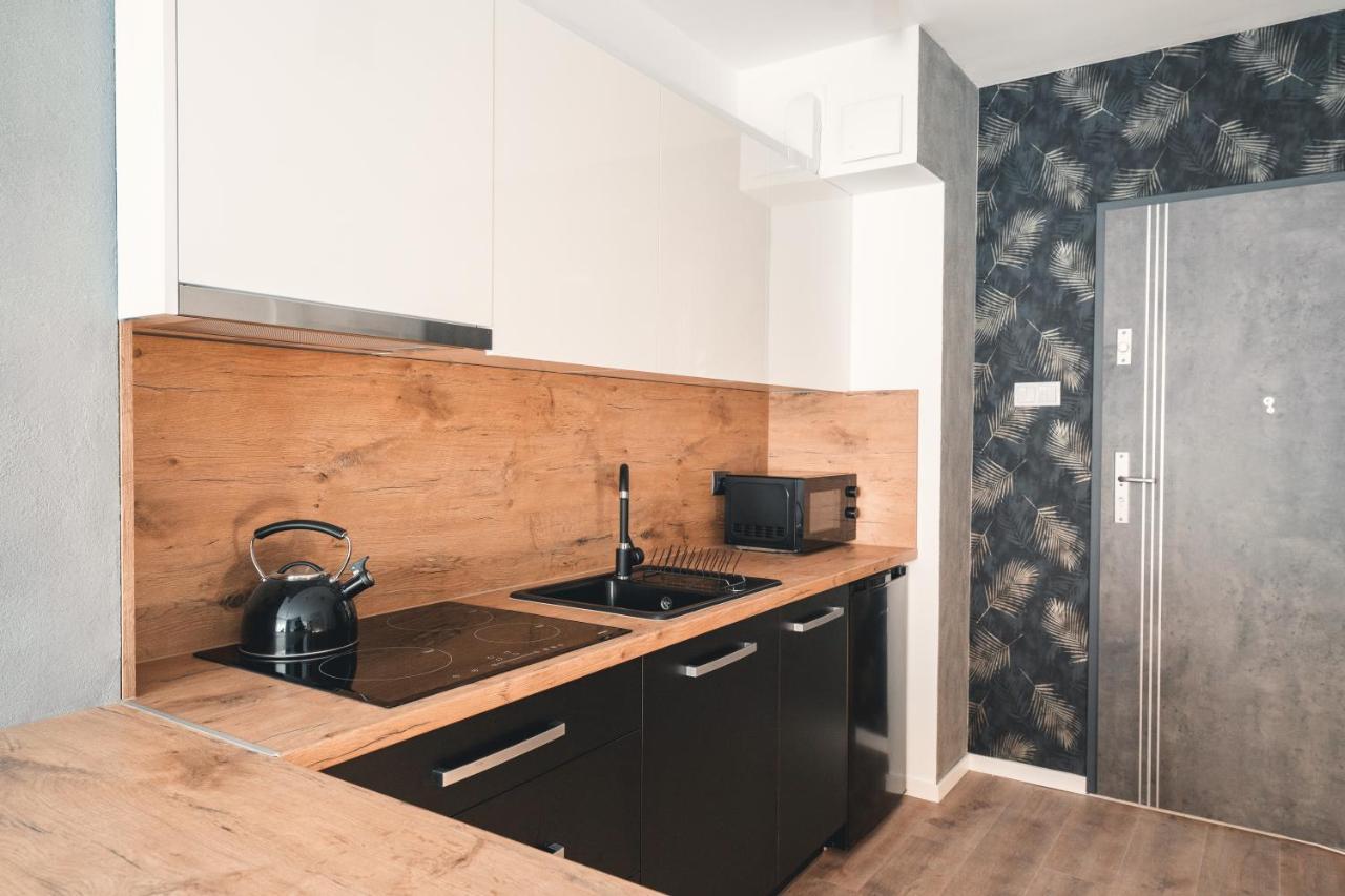 Ferienwohnung Apartament Nr 16 - Zrodlana 2 Świeradów-Zdrój Exterior foto